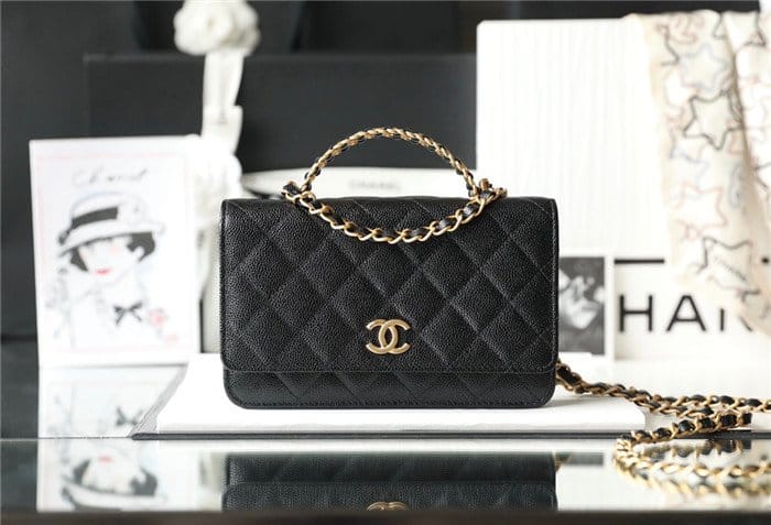 CHANEL 샤넬 WOC 미니백 C65151
