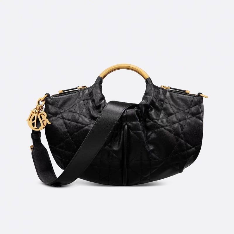 DIOR 디올 워킹 디올 백 M4511 2COLOR