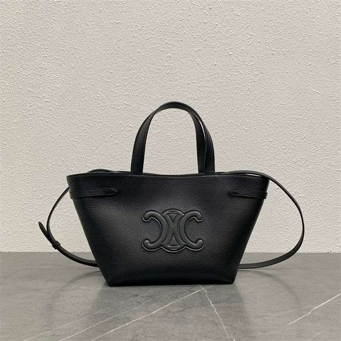 CELINE 셀린느 아나이스 카바스 스몰 토트백 118613 3COLOR