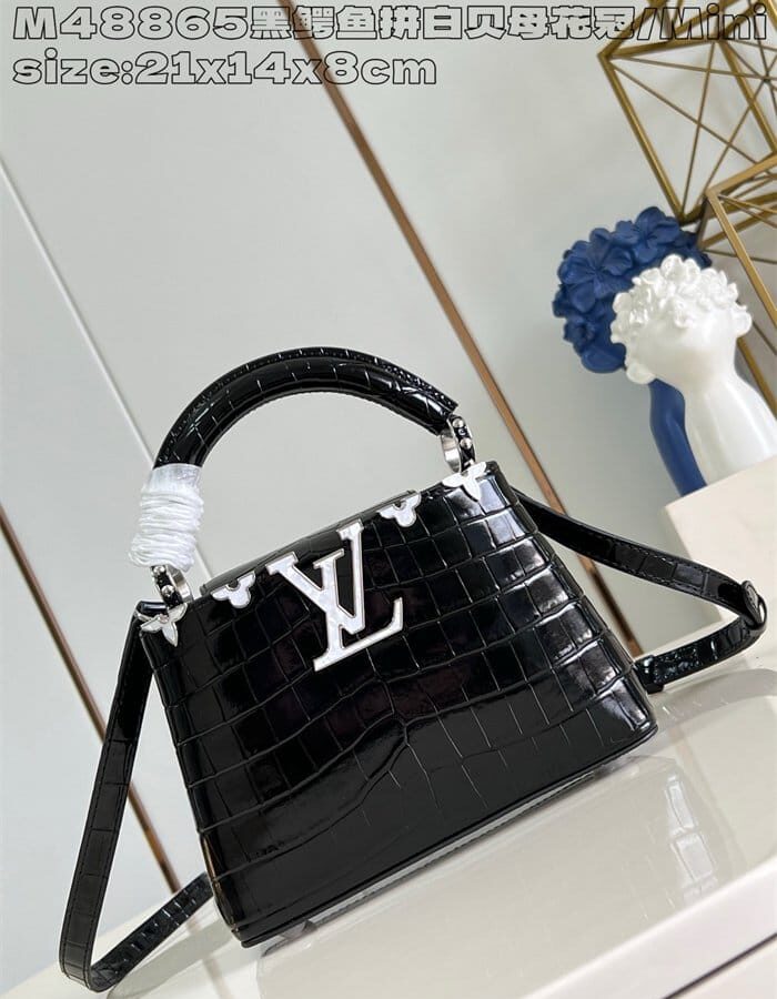 LOUIS VUITTON 루이비통 카푸신 미니 M48865 2024/신상